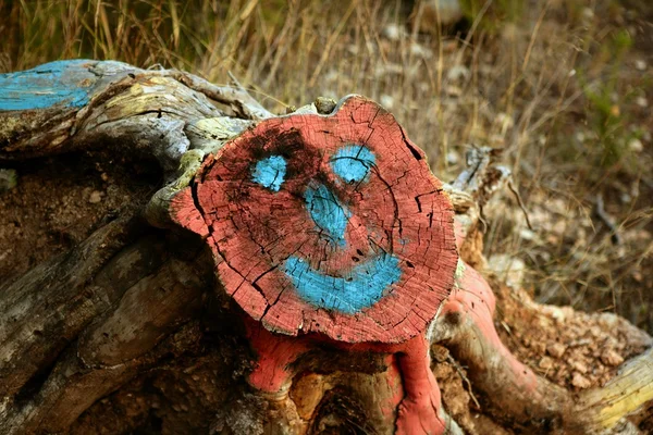 Sorridente faccia disegnare in un tronco tagliato — Foto Stock