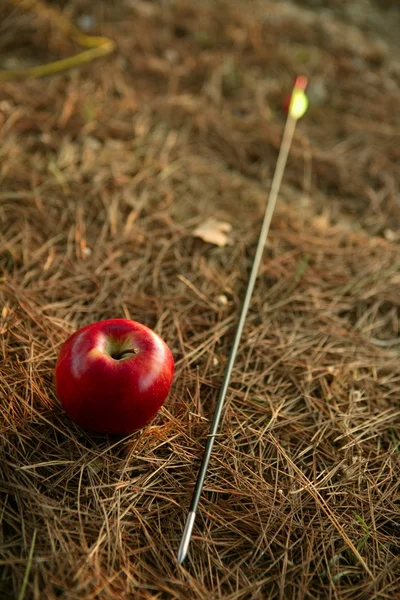 Уильям рассказал метафору с красным яблоком и стрелами — стоковое фото