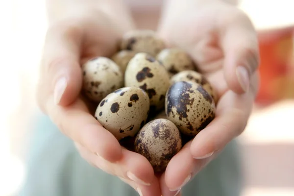 Woman hands holding fragile quail eggs — Stock Photo, Image