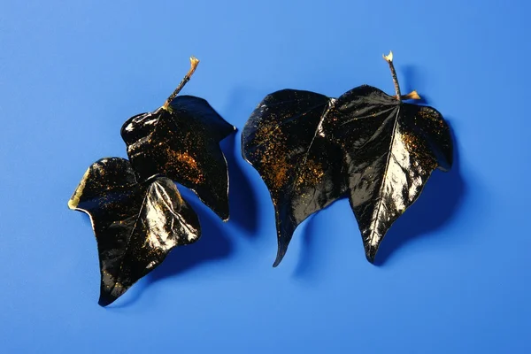 Schwarze Blätter mit goldenem Glitzermakro — Stockfoto