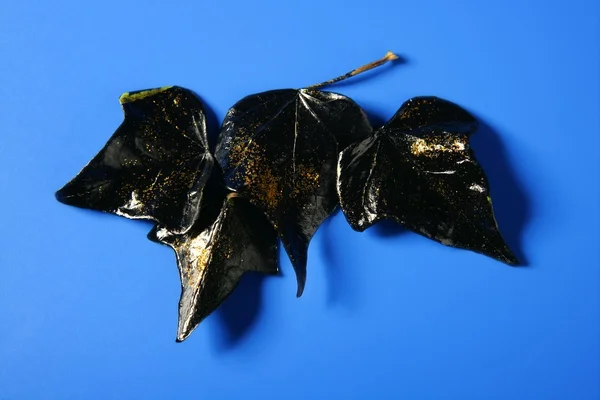 Svarta blad med gyllene glitter makro — Stockfoto