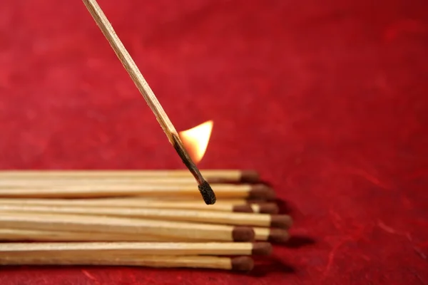 Light wooden matches arrangement — Stock Photo, Image