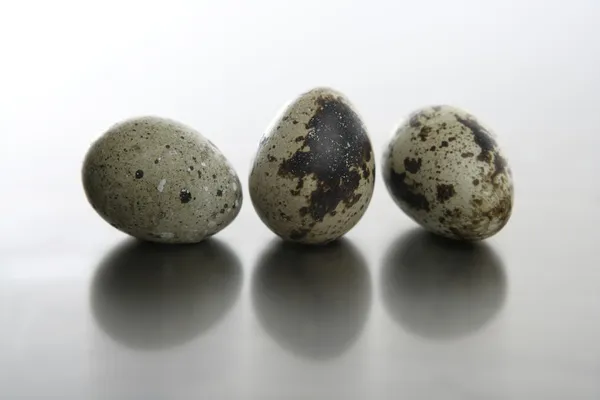Three quail eggs — Zdjęcie stockowe