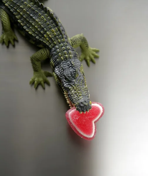 Juguete cocodrilo, cocodrilo con caramelo Valentine corazón rojo en sus mandíbulas —  Fotos de Stock