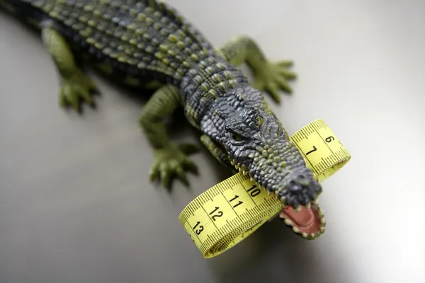Juguete cocodrilo, aligátor con cinta métrica centímetro en sus mandíbulas —  Fotos de Stock