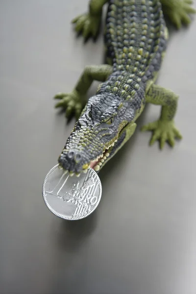 Toy cocodrile, aligator with euro money in his jaws — Stock Photo, Image