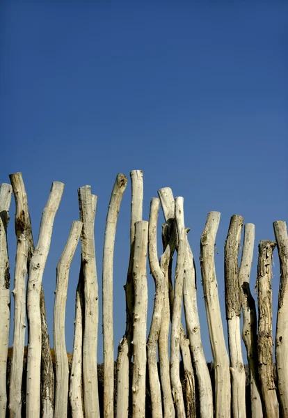 Parede de madeira feita de troncos de madeira — Fotografia de Stock