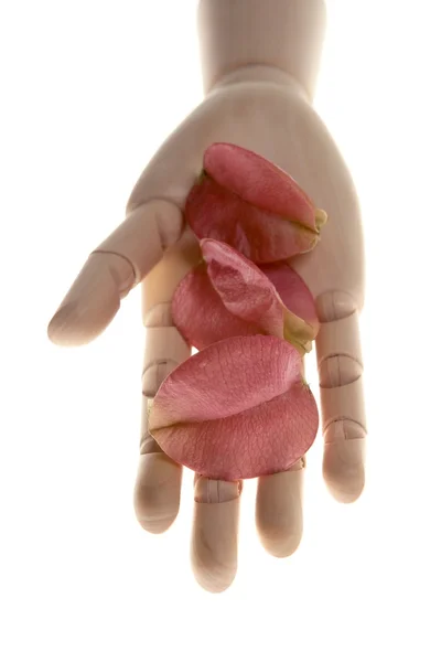 Маннекін дерев'яна рука тримає осіннє рожеве листя — стокове фото