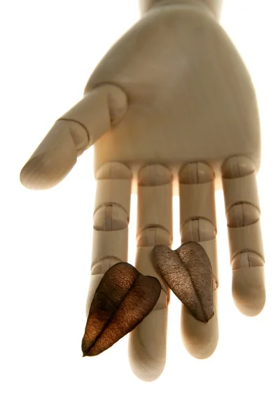 Mannequin wooden hand holding autumn brown leaves — Stock Photo, Image
