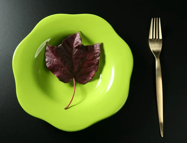 Metafora, zdravé stravy nízké kalorie barevné listí vegetariánské — Stock fotografie