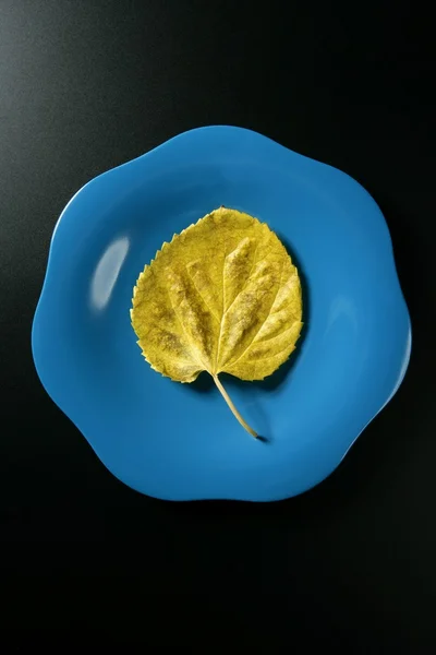 Metafora, zdrową dietę niskokaloryczną posiłkiem wegetariańskim liść — Zdjęcie stockowe