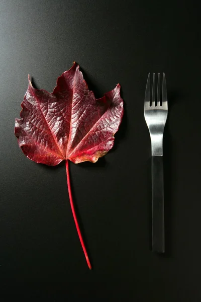 Metafora, zdravé stravy nízké kalorie barevné listí vegetariánské — Stock fotografie