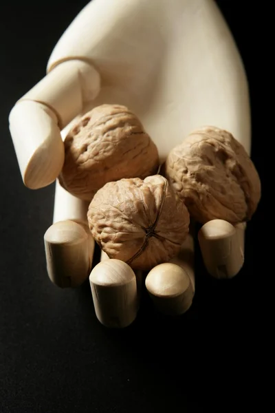 Маннекін дерев'яна рука тримає три волоські горіхи — стокове фото