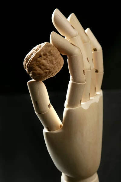 Manekin drewniany ręka trzyma jeden orzech — Zdjęcie stockowe