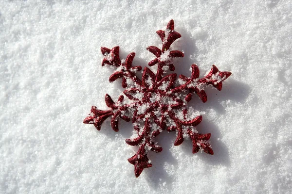 Boże Narodzenie czerwony gwiazda w dzień śniegu — Zdjęcie stockowe
