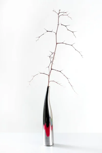 Branch in een decoratie vaas, wit studio opname — Stockfoto