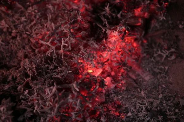 Glöd textur, trä i brand — Stockfoto