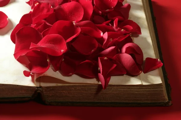 Rose petals over old aged book — Stock Photo, Image