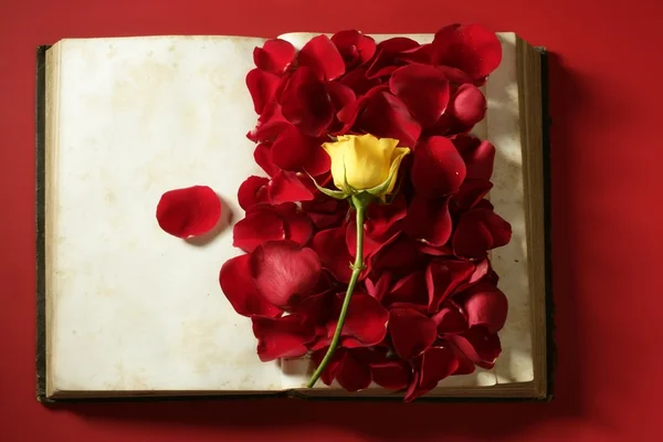 Płatki róż na starej książki wieku — Zdjęcie stockowe