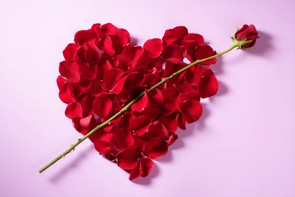 赤い花びら心臓、バレンタインの花のメタファー — ストック写真