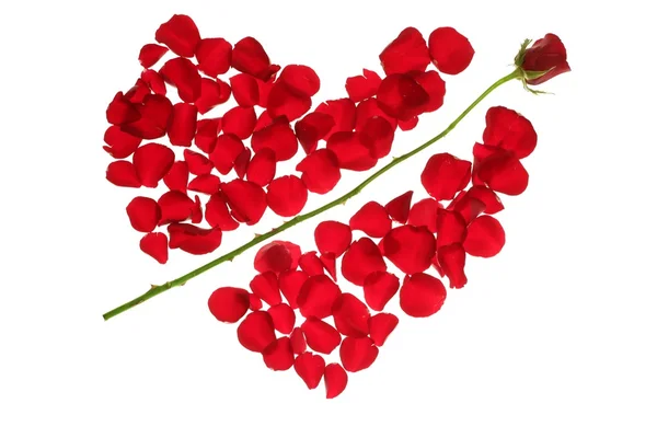 Έρως βέλος σε σχήμα καρδιάς κόκκινο ροδοπέταλα — Φωτογραφία Αρχείου