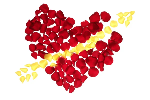 Cupid šipky ve tvaru srdce červených růží — Stock fotografie