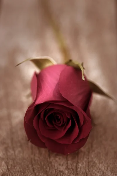 Czerwona róża przez starego wieku drewna tekowego — Zdjęcie stockowe