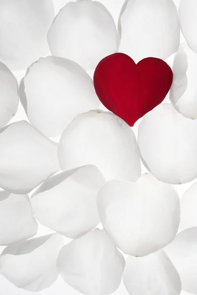 Κόκκινα ροδοπέταλα σχήμα καρδιάς πάνω από λευκό — Φωτογραφία Αρχείου