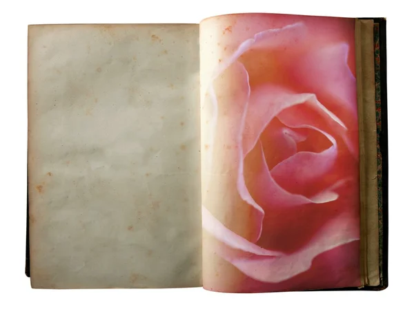 Rose tiskne na stránkách otevřené staré knihy — Stock fotografie