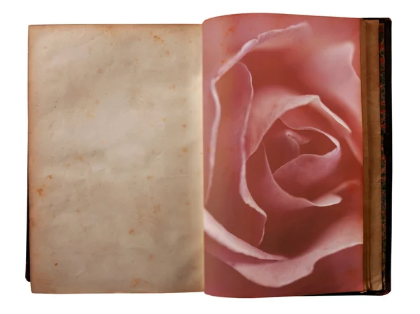 玫瑰打印页上的打开的老书 — 图库照片