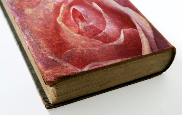 玫瑰印在一本老书的封面上 — 图库照片