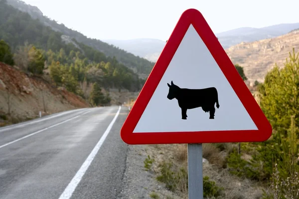 Señal de tráfico europea, vacas en la carretera —  Fotos de Stock