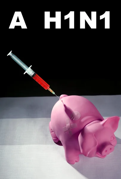 一只猪，甲型 h1n1 流感疫苗注射 — 图库照片