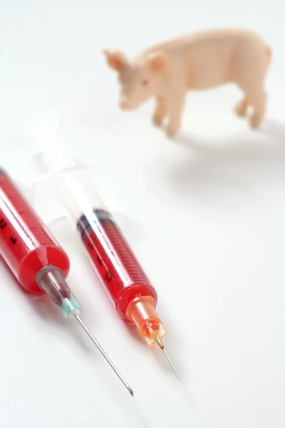 Varkens griep h1n1 vaccin metafoor — Stockfoto