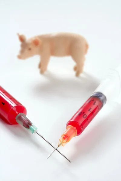 Metáfora de la vacuna contra la gripe porcina A H1N1 — Foto de Stock