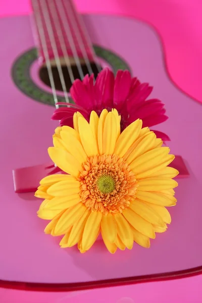 Hippie flower gul rosa gerbera på gitarr — Stockfoto