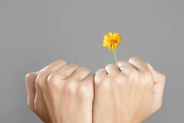 Concepto de planta que crece de manos de mujer — Foto de Stock