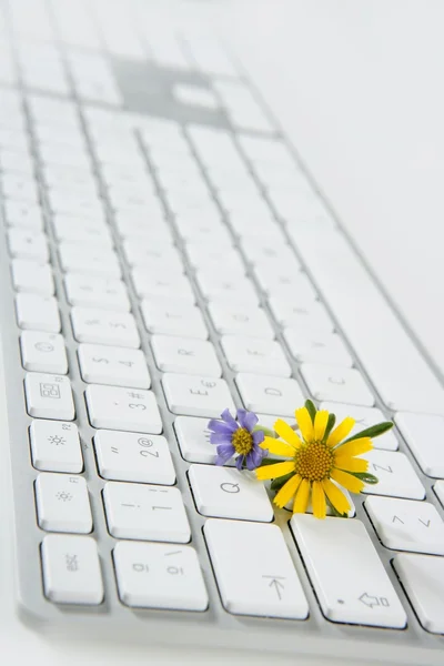Concept of flowers growing from computer — Stock Photo, Image