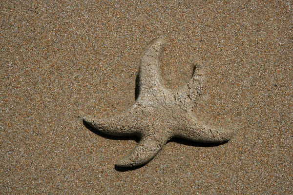 Zand gemaakt starfish aan de zee oever kust — Stockfoto