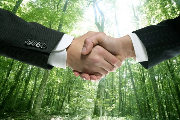 Empresário de aperto de mão ecológico em uma floresta — Fotografia de Stock