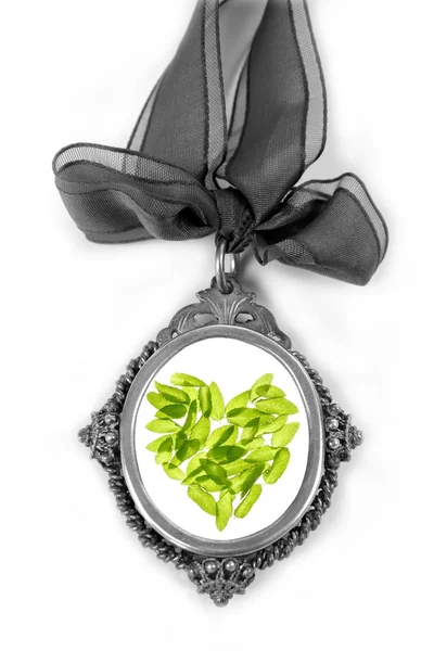Cameo silver locket with green basil leaves heart — Stock Photo, Image