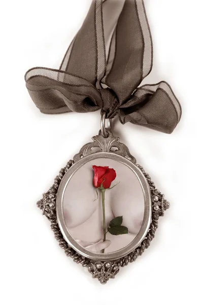 Cameo silver locket with valentines red rose — Stock Photo, Image