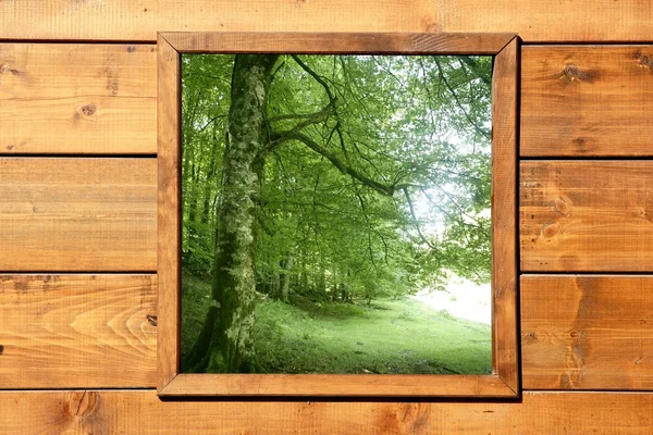 Ventana de madera selva verde bosque vista — Foto de Stock