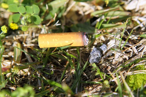 Cigarette risque d'incendie sur herbe forestière macro détail — Photo