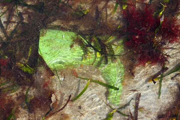 오래 된 녹색 부팅 쓰레기 바다 쓰레기 오염 — 스톡 사진