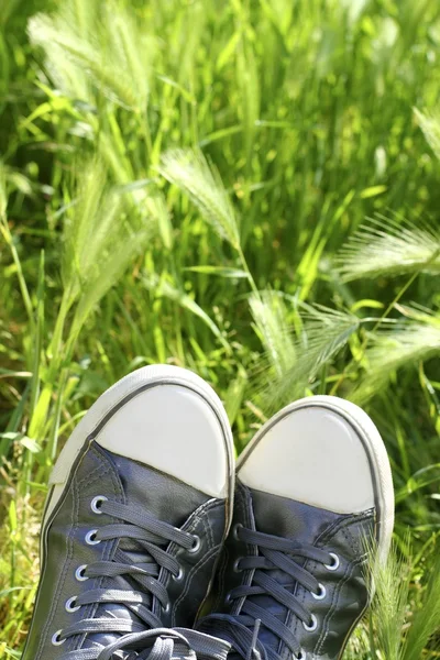 Zrelaksowany srebrne buty o resztę łąka pole — Zdjęcie stockowe
