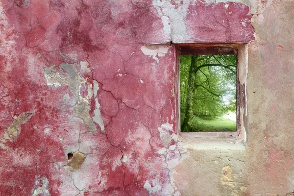 Aged weathered pink wall window beech forest — Stock Photo, Image