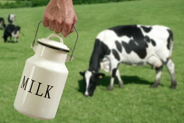 Süt potu çiftçi eli inek çayırda — Stok fotoğraf