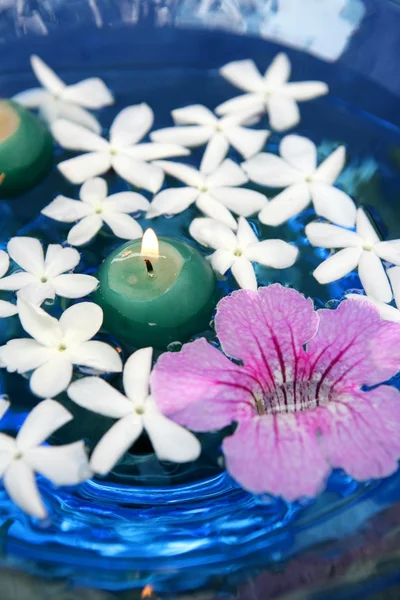 Jasmine, and pink Asarina, candles and blue water — Stock Photo, Image