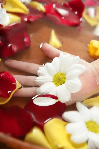 Aromatherapie, bloemen hand bad, roos bloemblad — Stockfoto